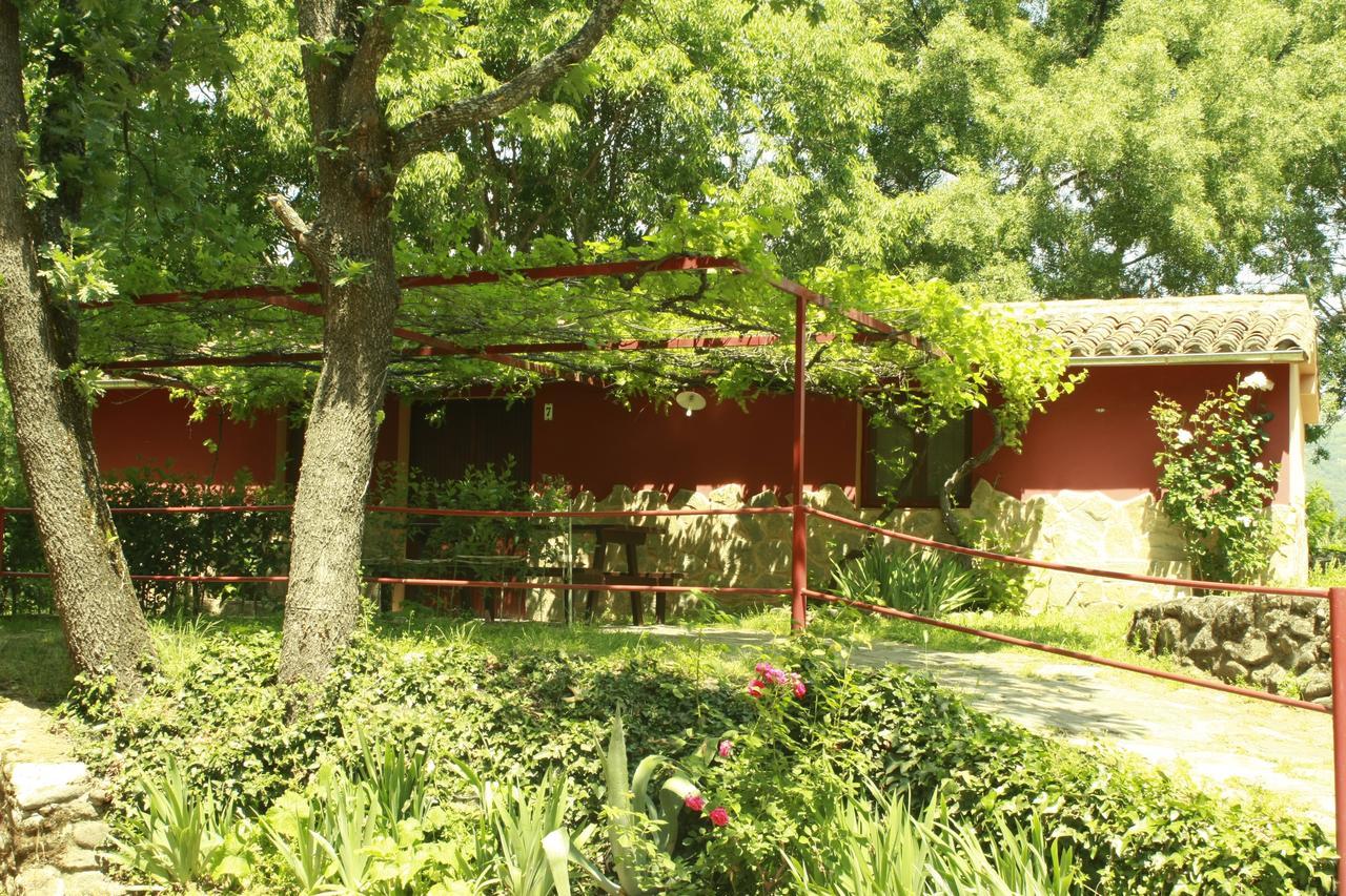 Hervás Camping El Pinajarro מראה חיצוני תמונה