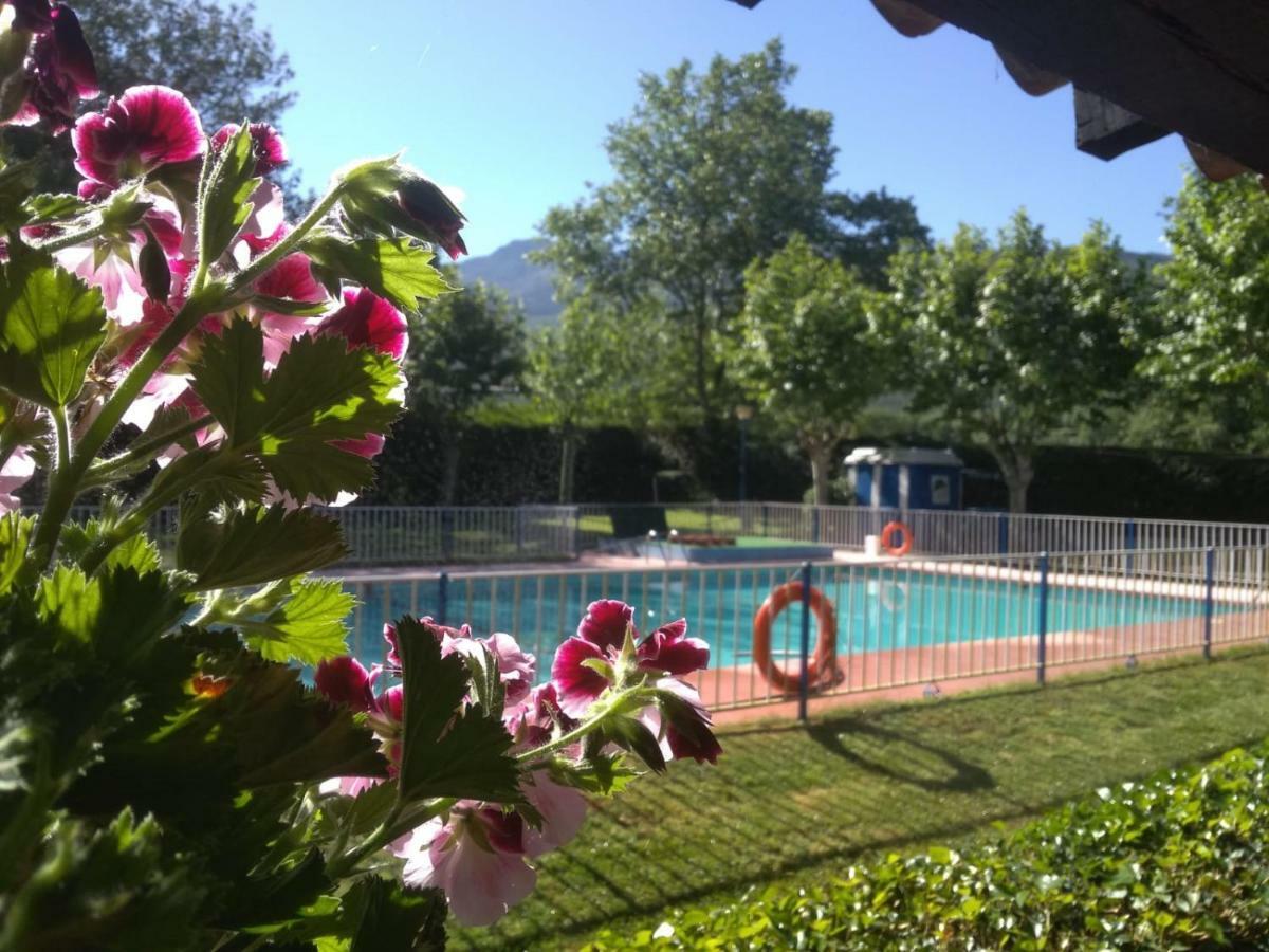 Hervás Camping El Pinajarro מראה חיצוני תמונה