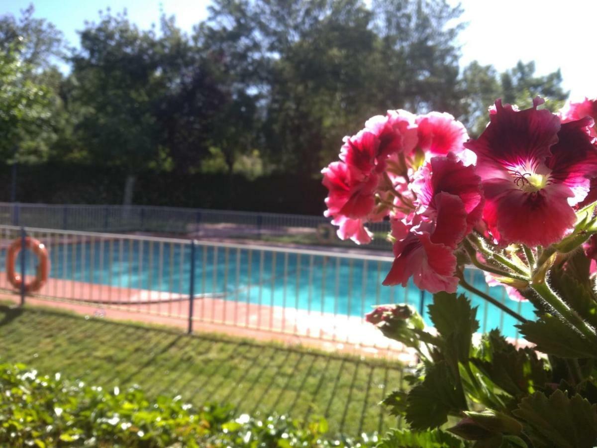 Hervás Camping El Pinajarro מראה חיצוני תמונה